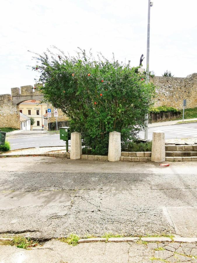 Kálvária Vendégház, közvetlenül a várfal mellett. Pécs Exterior foto